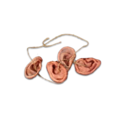 The Walking Dead - Walker Ear Necklace