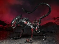 7″ NECA Scale Action Figure – Kenner Tribute Ultimate Night Cougar Alien -Model Figures 474f11d3 c54e 4a7e a523 94da4413f2be