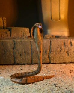 NECA Universal Monsters X Teenage Mutant Ninja Turtles Ultimate Michelangelo As The Mummy -Model Figures 6d90237b 478c 4d0c 9fc6 e60055b57cb3