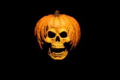 Halloween 2 Laurie Strode And Dr. Loomis 2 Pack Neca -Model Figures 789 ddb04ddb e00e 4825 9a18 380cd40ca57f