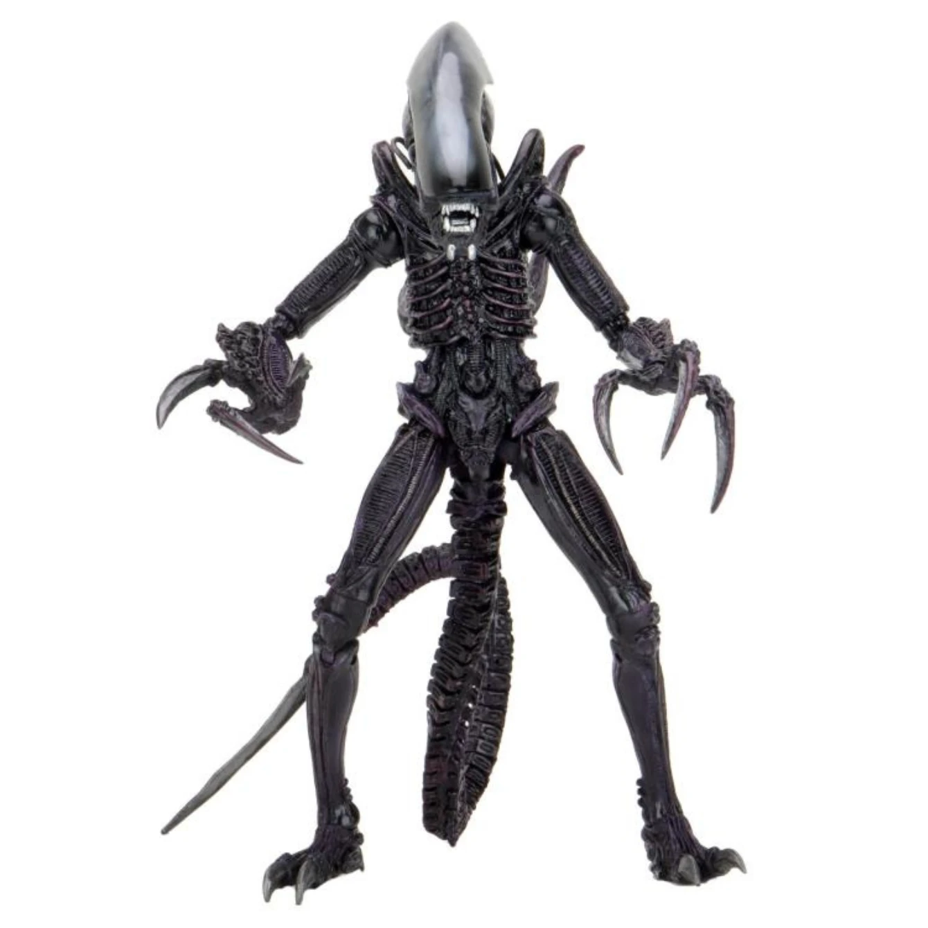 NECA Alien Vs. Predator Razor Claws (Movie Deco) Figure 3 NECA Alien Vs. Predator Razor Claws (Movie Deco) Figure