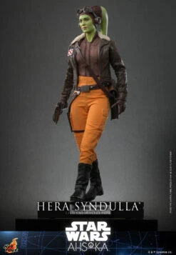 PRE-ORDER Hera Syndulla™ Sixth Scale Figure Hot Toys -Model Figures hera syndulla star wars gallery 65295e2fc0670