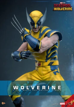 PRE-ORDER Wolverine Sixth Scale Figure -Model Figures wolverine marvel gallery 6669babca5a5b