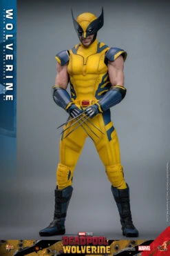 PRE-ORDER Wolverine Sixth Scale Figure -Model Figures wolverine marvel gallery 6669bac11b8e8