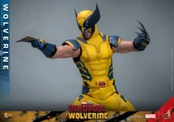 PRE-ORDER Wolverine Sixth Scale Figure -Model Figures wolverine marvel gallery 6669bac16d681