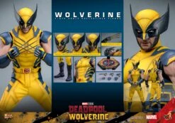 PRE-ORDER Wolverine Sixth Scale Figure -Model Figures wolverine marvel gallery 6669bac28b91c